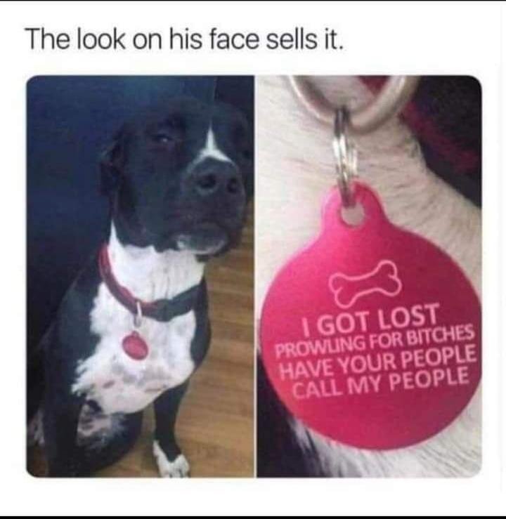The look on his face sells it. I GOT LOST PROWLING FOR BITCHES HAVE YOUR PEOPLE CALL MY PEOPLE