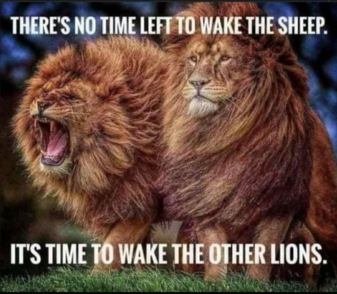 THERE'S NO TIME LEFT TO WAKE THE SHEEP. IT'S TIME TO WAKE THE OTHER LIONS.