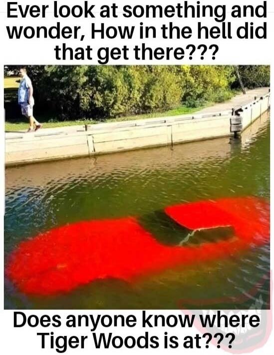 Ever look at something and wonder, How in the hell did that get there??? Does anyone know where Tiger Woods is at???