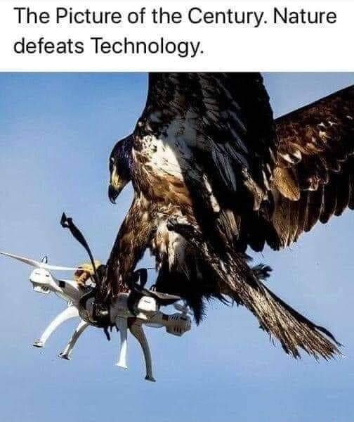 The Picture of the Century Nature defeats Technology