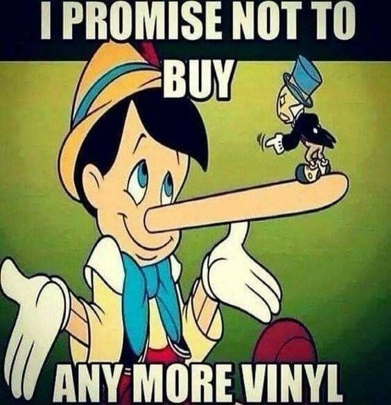 I PROMISE NOT TO BUY ANY MORE VINYL