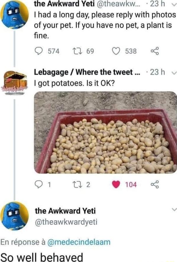 the Awkward Yeti theawkw 23h had a long day please reply with photos of your pet If you have no pet a plant is fine Q 574 169 Q 538 L Lebagage Where the tweet 23h got potatoes Is it OK the Awkward Yeti v theawkwardyeti En rponse a medecindelaam So well behaved