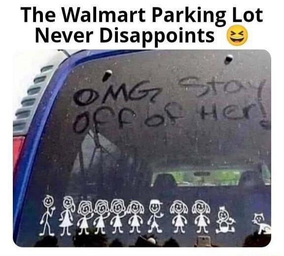 The Walmart Parking Lot Never Disappoints 😂 OMG Stay off of her!