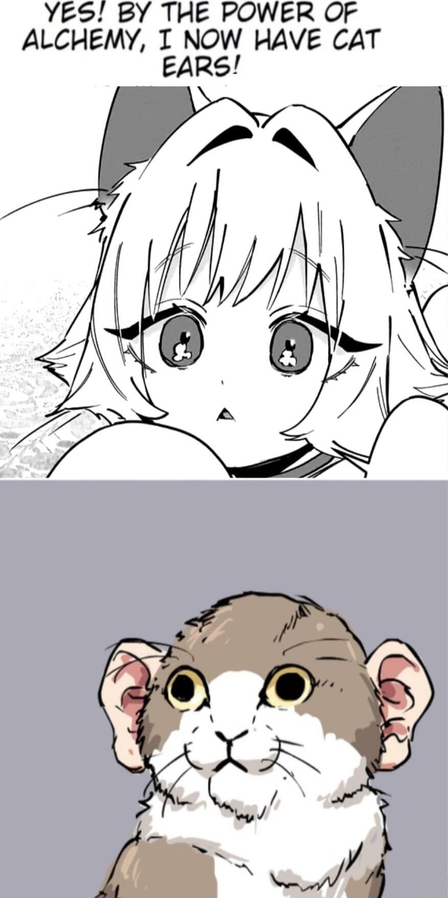 YES BY THE POWER OF ALCHEMY T NOW HAVE CAT EARS