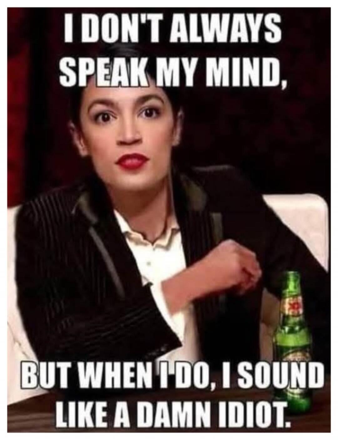 I DON'T ALWAYS SPEAK MY MIND, BUT WHEN I DO, I SOUND LIKE A DAMN IDIOT.