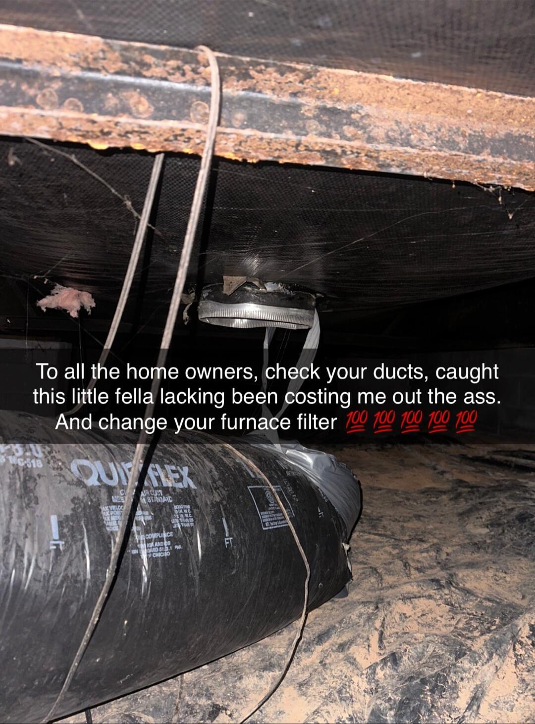 To all the home owners check your ducts caught this little fella lacking been costing me out the ass And change your furnace filter 0 0