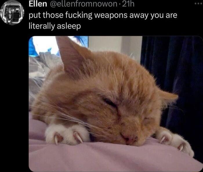 Ellen ellenfromnowon 21h put those fucking weapons away you are literally asleep