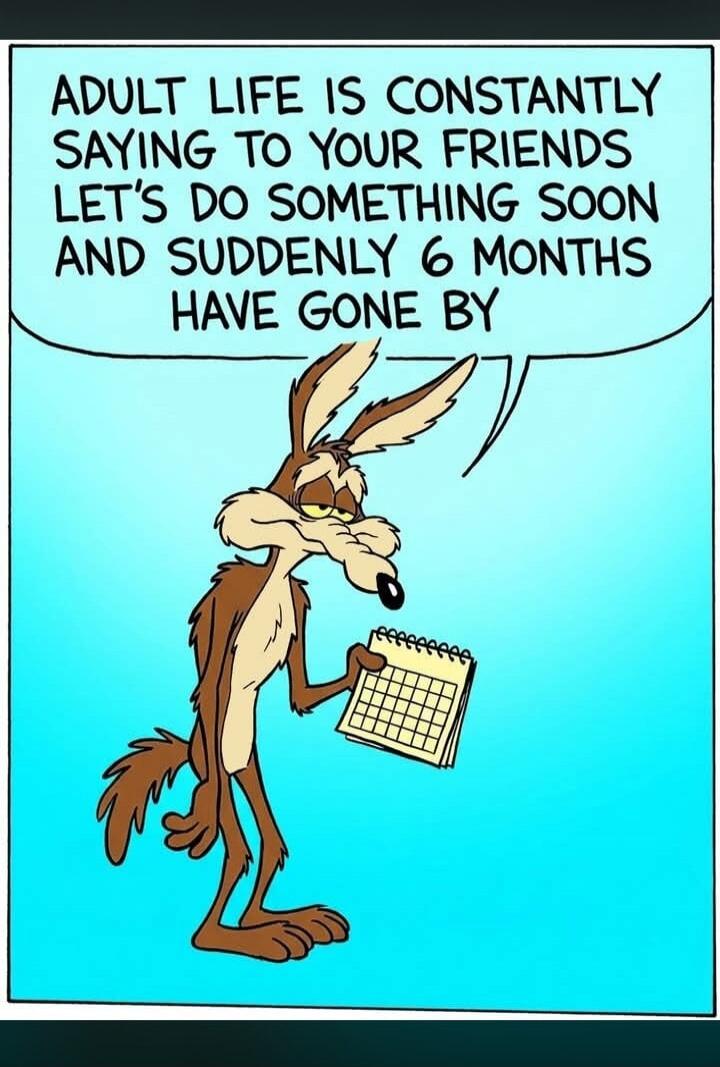ADULT LIFE IS CONSTANTLY SAYING TO YOUR FRIENDS LET'S DO SOMETHING SOON AND SUDDENLY 6 MONTHS HAVE GONE BY