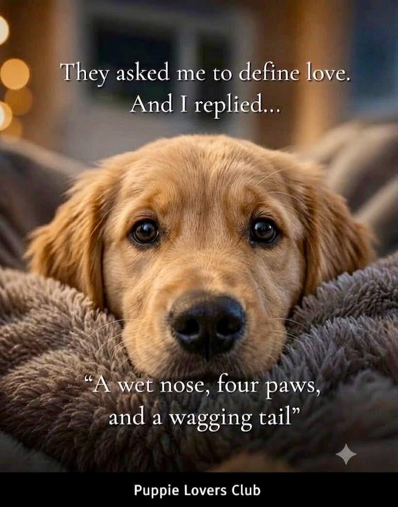 They asked me to define love. And I replied... 