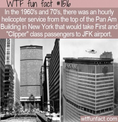 WTF 1un fact ble