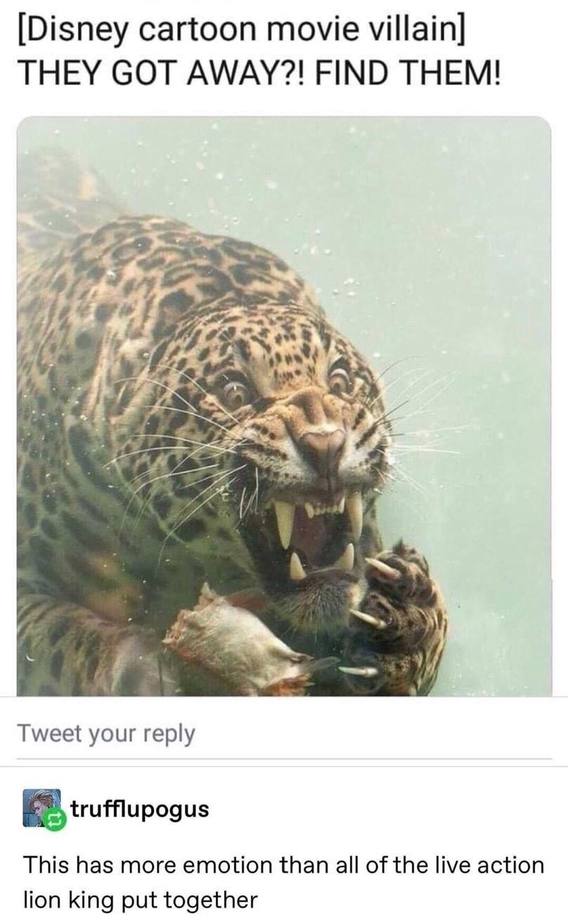 Diego Danger Cisneros DiegoSawr Replying to 41Strange Disney cartoon movie villain THEY GOT AWAY FIND THEM Tweet your reply utrufupogus This has more emotion than all of the live action lion king put together 97254 notes 0 Q