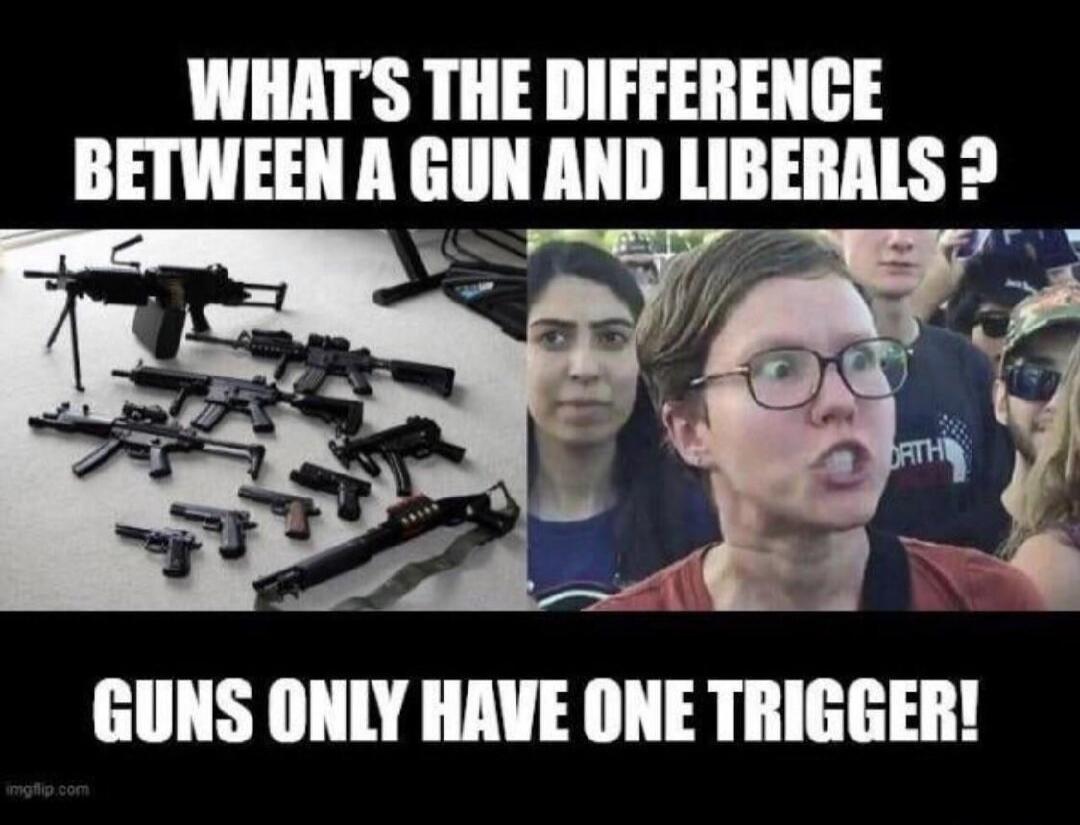 WHAT'S THE DIFFERENCE BETWEEN A GUN AND LIBERALS ? GUNS ONLY HAVE ONE TRIGGER!