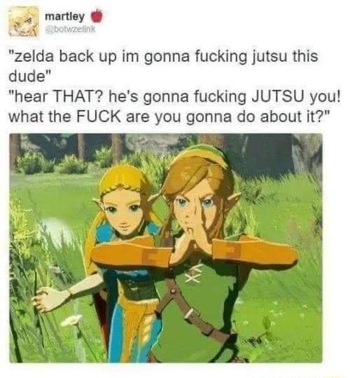 a martiey zelda back up im gonna fucking jutsu this dude hear THAT hes gonna fucking JUTSU you what the FUCK are you gonna do about it