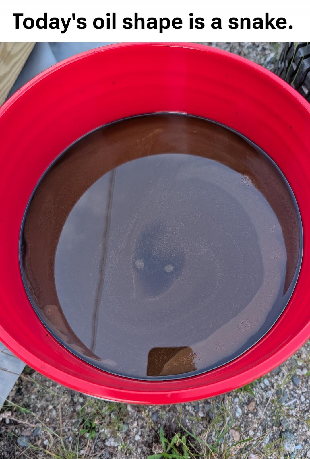 Today's oil shape is a snake.