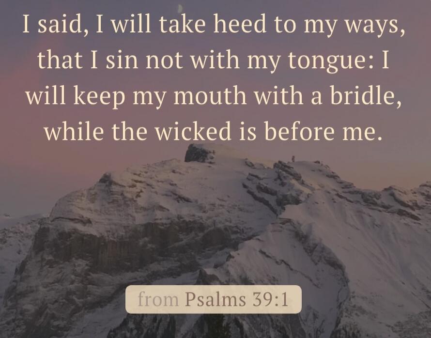 I said, I will take heed to my ways, that I sin not with my tongue: I will keep my mouth with a bridle, while the wicked is before me. from Psalms 39:1