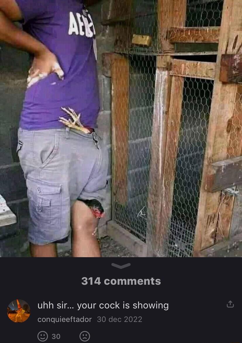314 comments S 3 uhh sir your cock is showing conquieeftador 30 d OF
