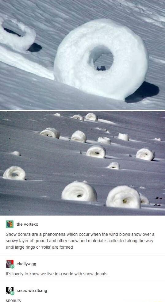 snowy layer of ground and other snow and material s collected along the unti farge rings or Tollsare formed B crely eon It lovely 1o know we Iive in a world with Snow donus R rsecatong