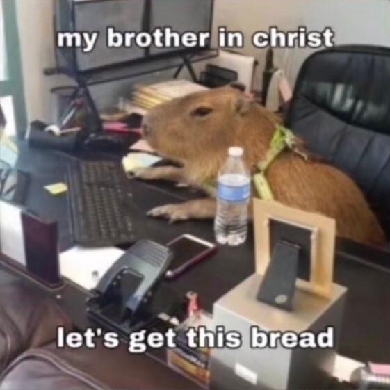 el my brother w e I D 1 ge_tn