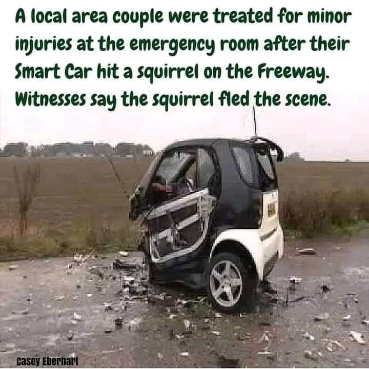 A local area couple were treated for minor injuries at the emergency room after their Smart Car hit a squirrel on the Freeway Witnesses say the squirrel fled the scene