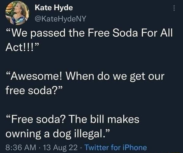 g Kate Hyde KateHydeNY Rt R PR S IR ot R oA Act Awesome When do we get our free soda Free soda The bill makes owning a dog illegal 836 AM 13 Aug 22 Twitter for iPhone