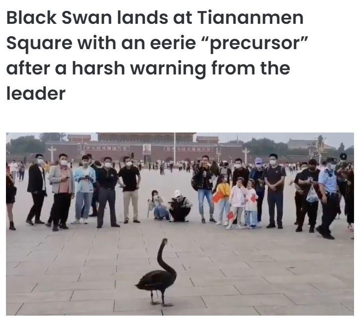 Black Swan lands at Tiananmen Square with an eerie precursor after a harsh warning from the leader