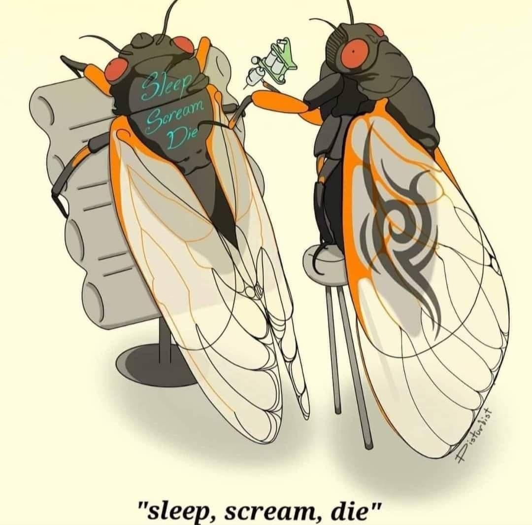 sleep scream die