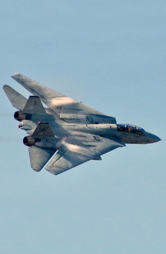 F-14 Tomcat in flight
