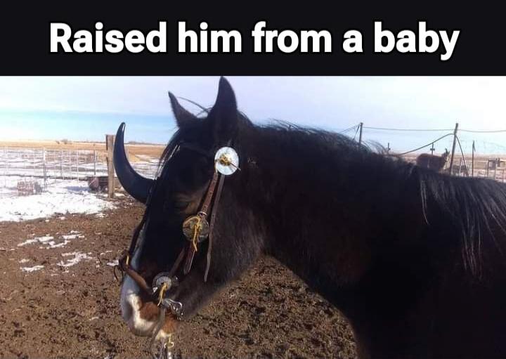 Raised him from a baby