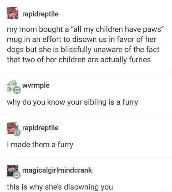 rapidreptile my mom bought a all my children have paws mug in an effort to disown us in favor of her dogs but she is blissfully unaware of the fact that two of her children are actually furries Fo E4 wvrmple why do you know your sibling is a furry g rapidreptile I made them a furry g magicalgirimindcrank this is why shes disowning you