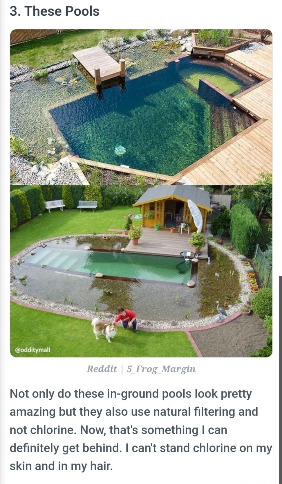 3 These Pools Reddit 5 Frog_Margin Not only do these in ground pools look pretty amazing but they also use natural filtering and not chlorine Now thats something can definitely get behind cant stand chlorine on my skin and in my hair
