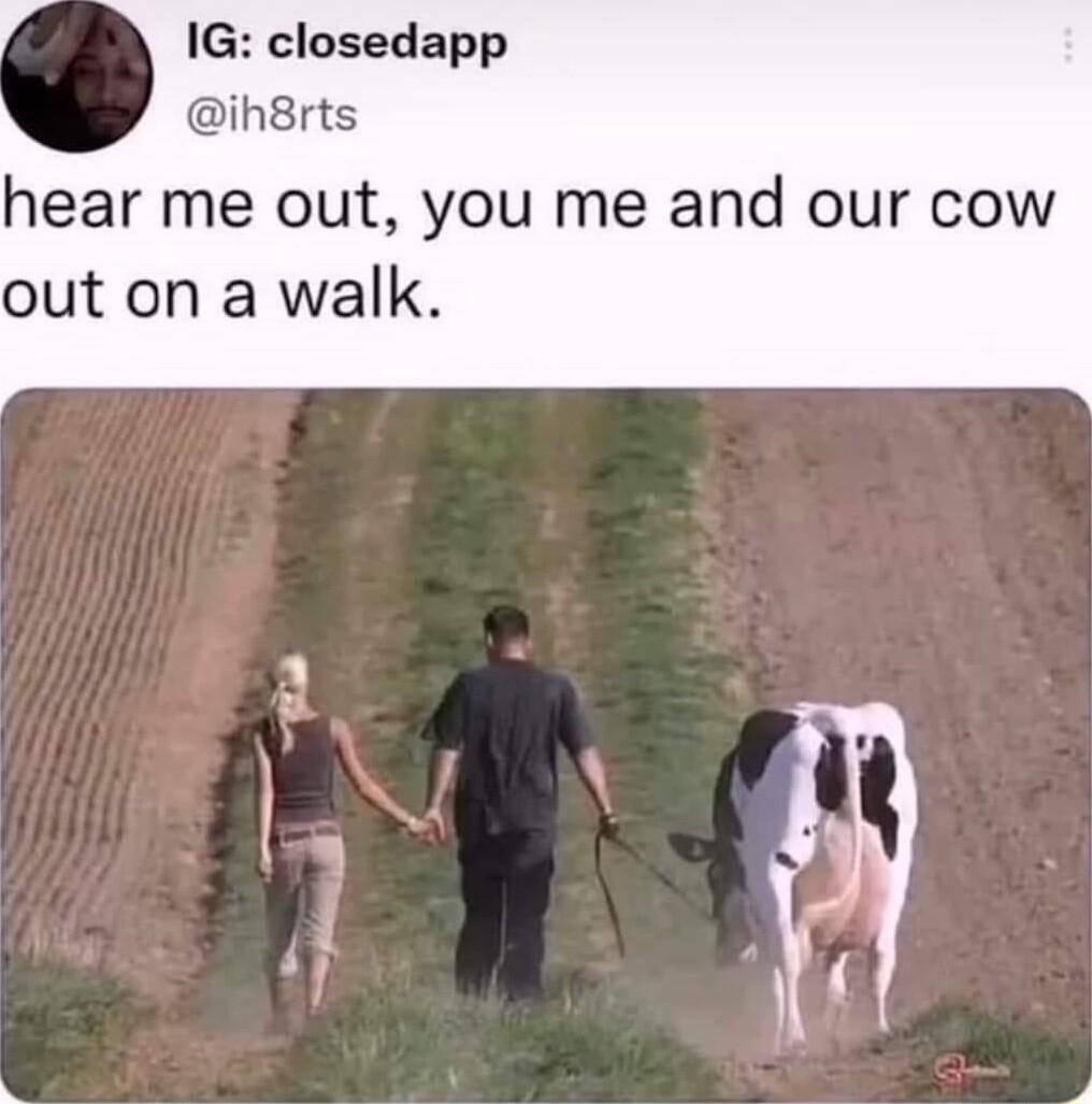 IG closedapp ih8rts hear me out you me and our cow ut on a walk