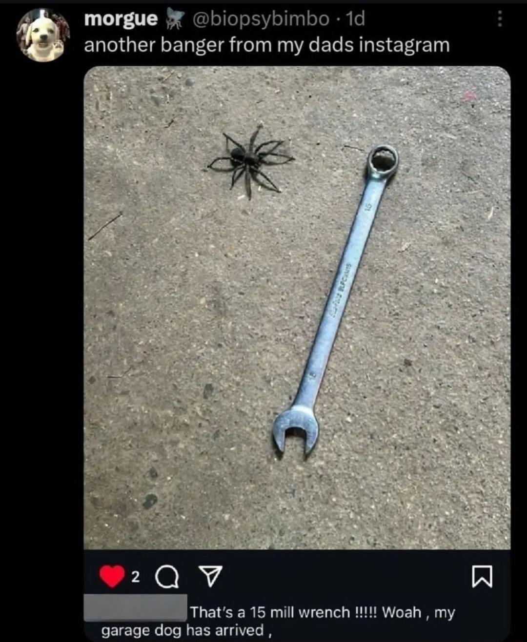 morgue biopsybimbo 1d another banger from my dads instagram 15 mill wrench garage dog has arrived
