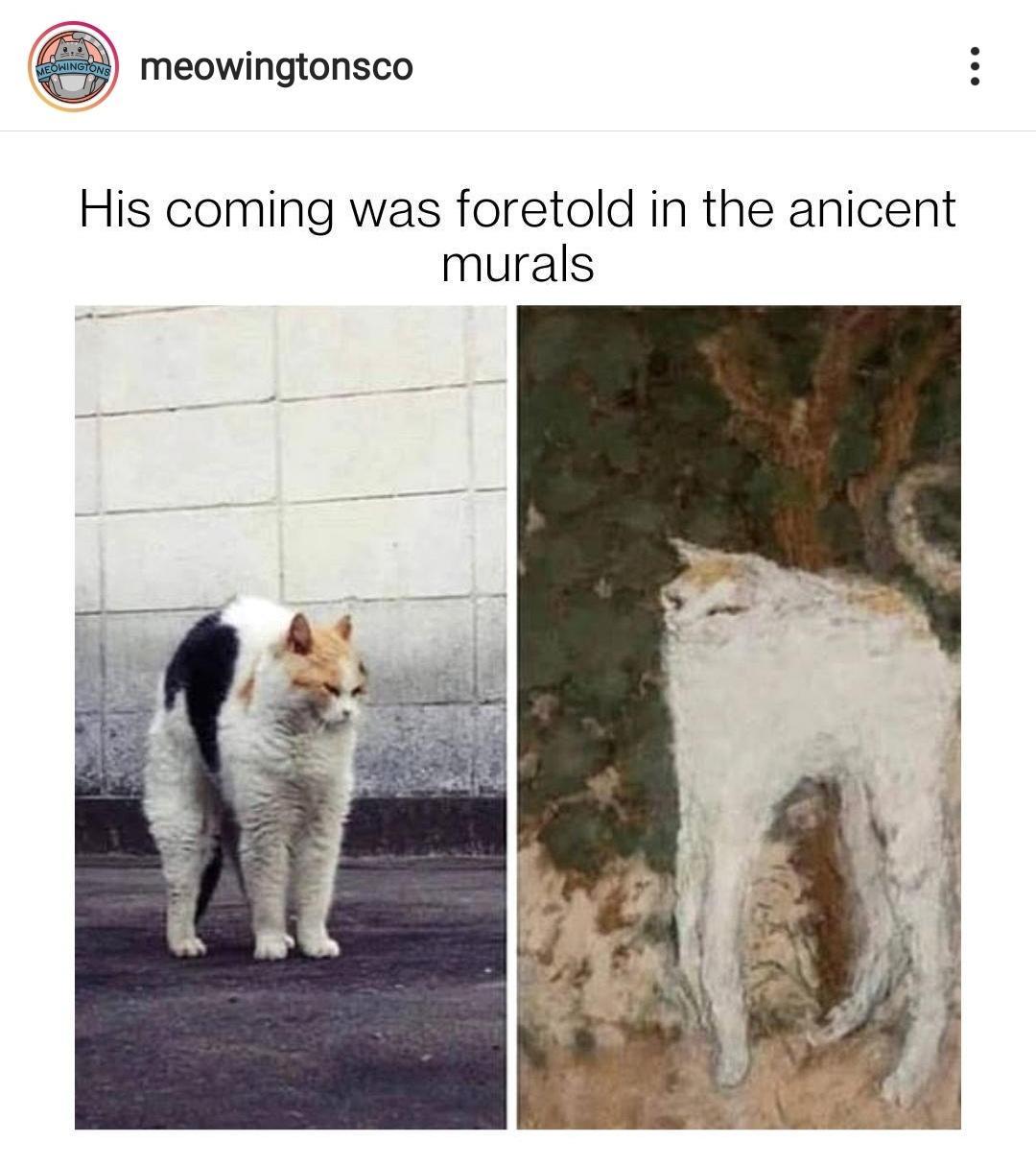 1N meowingtonsco His coming was foretold in the anicent murals