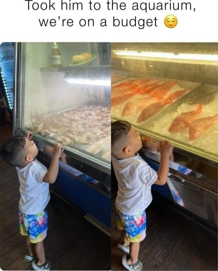 Took him to the aquarium, we’re on a budget 😔