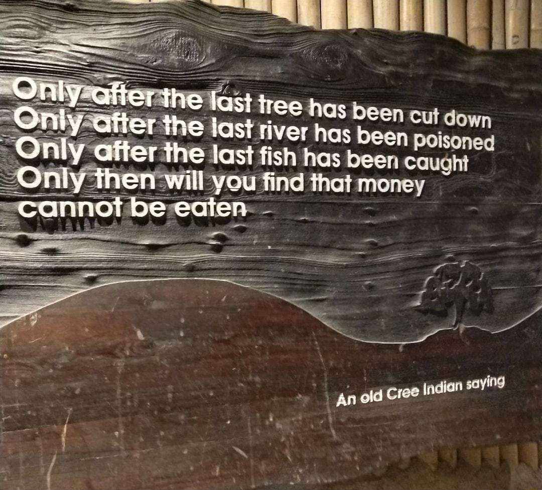 chi L st tree has been ut di e last river has beenmlsd Only affer the last fish has been caught Onily3 willyou find that money scannotbeeaten