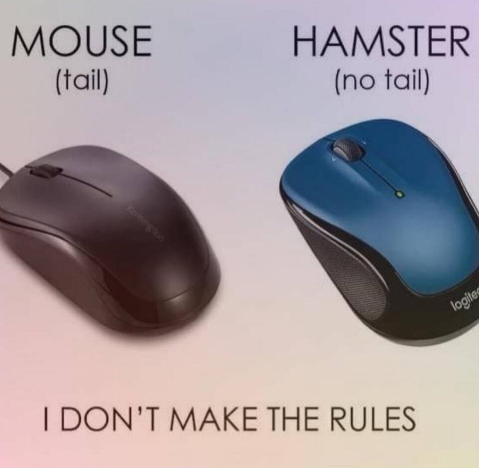 MOUSE (tail) HAMSTER (no tail) I DON'T MAKE THE RULES