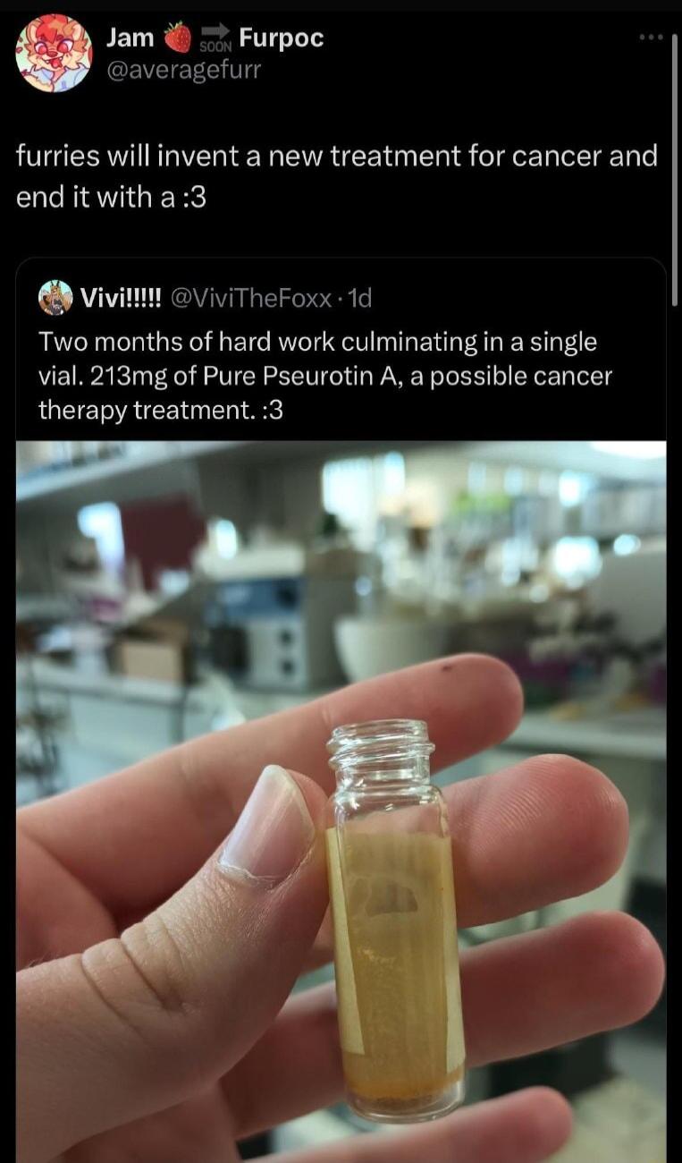 Jam Furpoc GQEVEIET CHIT furries will invent a new treatment for cancer and enditwitha3 v Two months of hard work culminating in a single vial 213mg of Pure Pseurotin A a possible cancer therapy treatment 3 ViviTheFoxx 1d