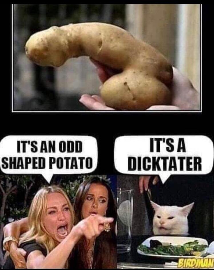 A hand holds a potato shaped like a penis. Below, the 'Woman Yelling at a Cat' meme shows two women and a cat. One speech bubble says 'IT'S AN ODD SHAPED POTATO' and another says 'IT'S A DICKTATER'.