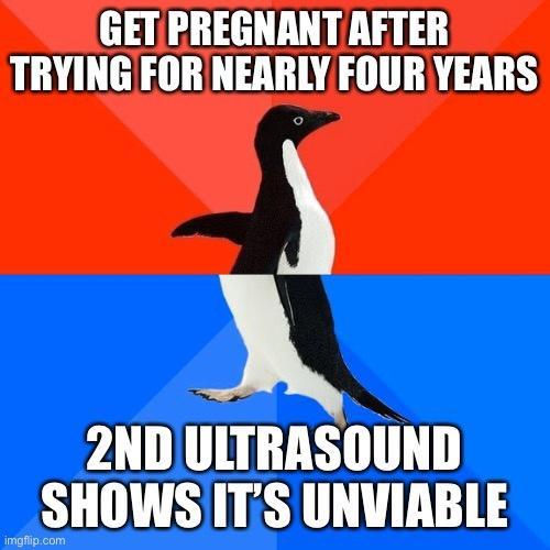GETIPREGNANT AFTER TRYINGFORNEARLY FOUR YEARS 2NDULTRASOUND SHOWSITS UNVIABLE mmmmmm