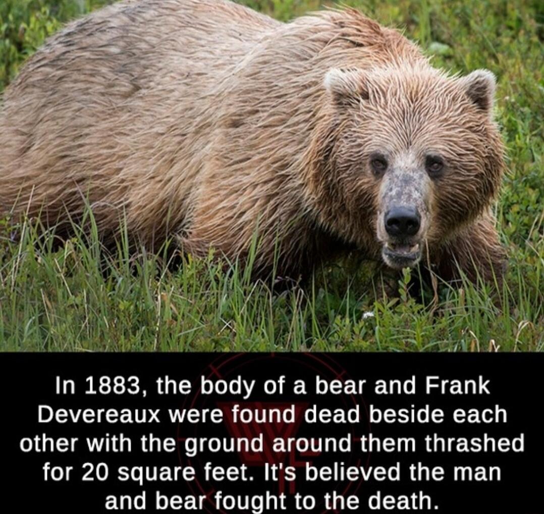 In 1883 the body of a bear and Frank IEVEICETVRVEIER LG R EEG RN R QGEIRTTORGER GG ETC T R G RGIE L LI G TECR T N T VL RO R B and bear fought to the death