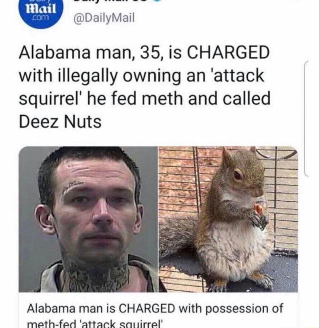 Y coaivvel Alabama man 35 is CHARGED with illegally owning an attack squirrel he fed meth and called Deez Nuts Alabama man is CHARGED with possession of meth fed attack catiirrel