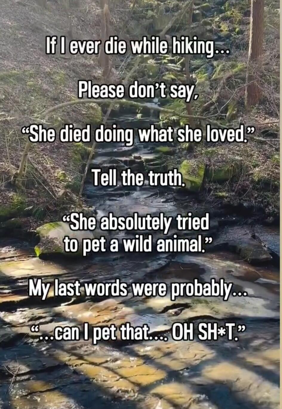 If I ever die while hiking... Please don't say, “She died doing what she loved.” Tell the truth. “She absolutely tried to pet a wild animal.” My last words were probably... “...can I pet that.... OH SH*T.”