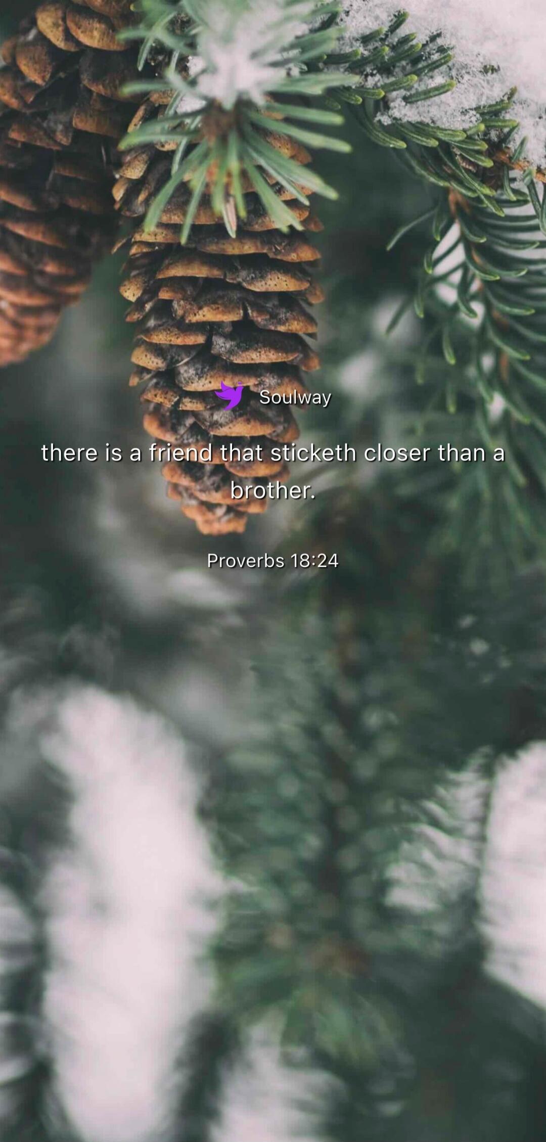 Soulway there is a friend that sticketh closer than a brother. Proverbs 18:24