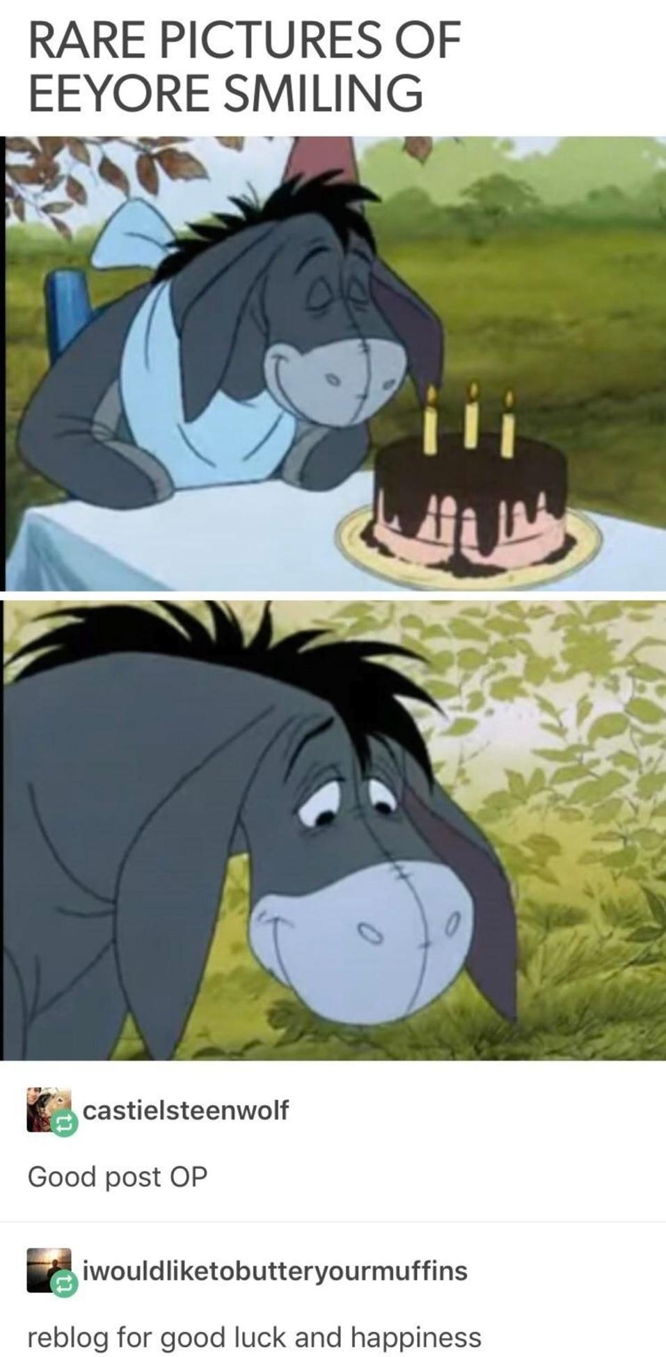 pooh and friends RARE PICTURES OF EEYORE SMILING it castielsteenwolf Good post OP E iwouldliketobutteryourmuffins reblog for good luck and happiness