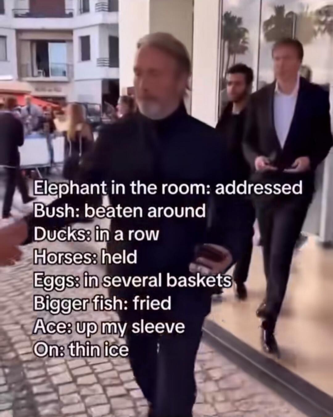 Elephant in the room: addressed Bush: beaten around Ducks: in a row Horses: held Eggs: in several baskets Bigger fish: fried Ace: up my sleeve On: thin ice