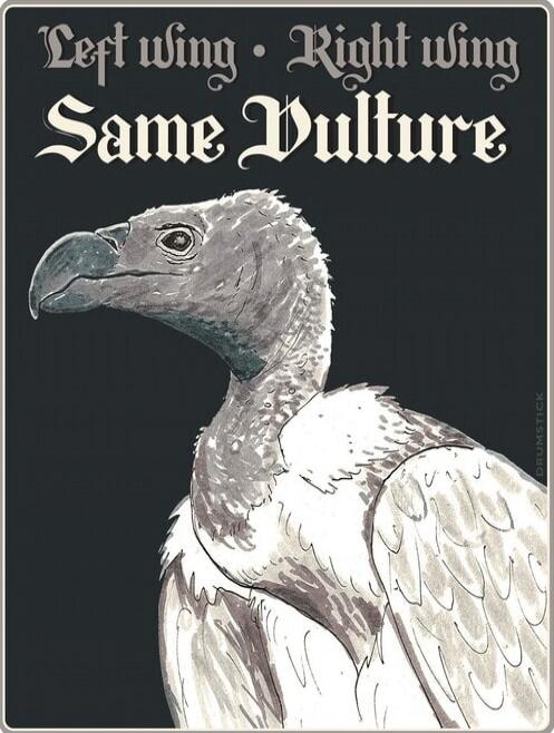 Left wing • Right wing Same Vulture