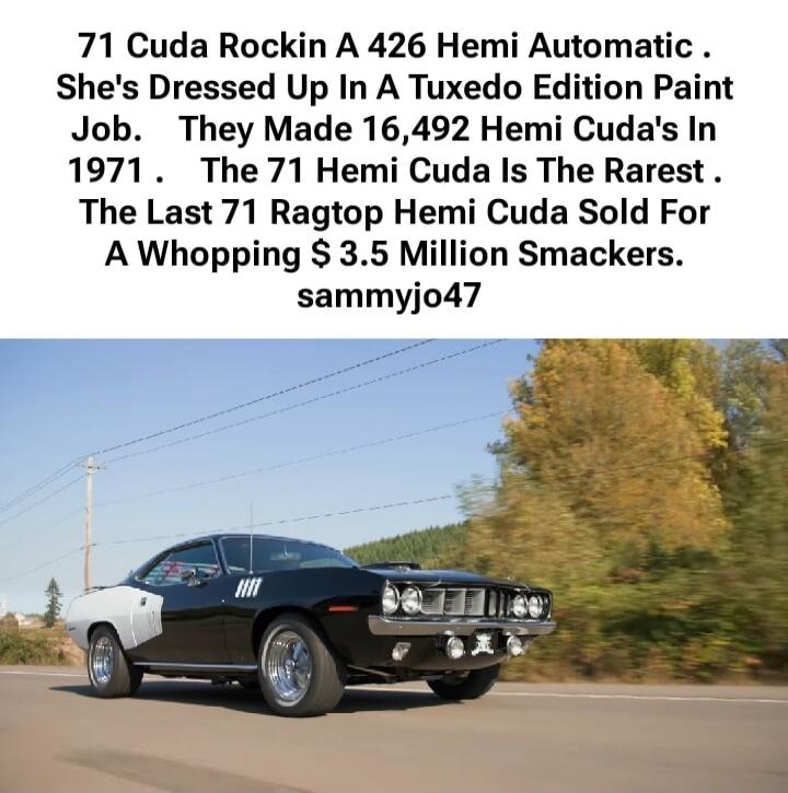71 Cuda Rockin A 426 Hemi Automatic . She's Dressed Up In A Tuxedo Edition Paint Job. They Made 16,492 Hemi Cuda's In 1971 . The 71 Hemi Cuda Is The Rarest . The Last 71 Ragtop Hemi Cuda Sold For A Whopping $ 3.5 Million Smackers. sammyjo47