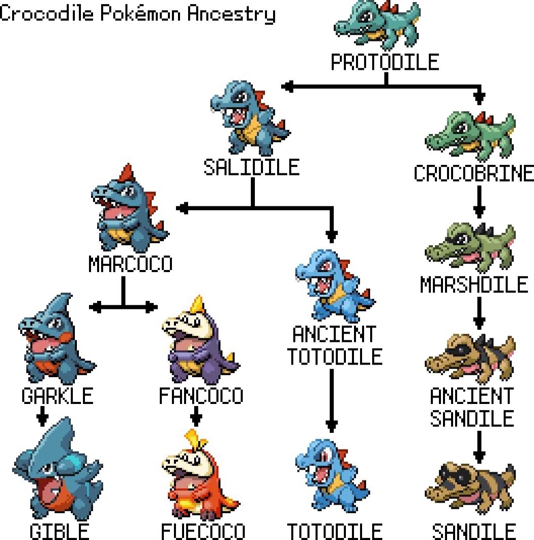 Crocodile Pokmon Ancestry PROTODILE i SALIDILE CRDCDERINE MARCOCO I i MARSHDILE 5 ANCIEN TOTOOILE ANCIENT 1 SANDILE 2 B sy GIBLE FUECOCO TOTODTILE SANOTLE