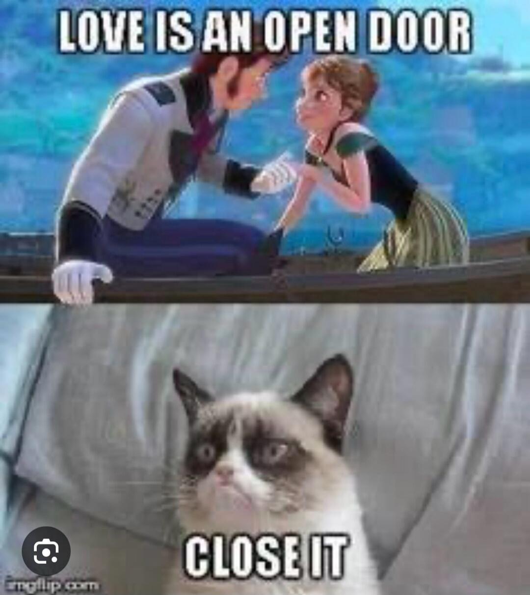 LOVE IS AN OPEN DOOR CLOSE IT
