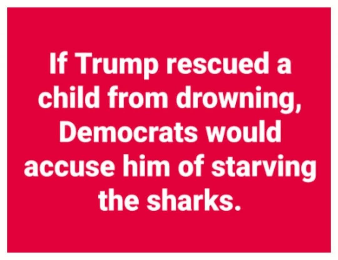 If Trump rescued a child from drowning, Democrats would accuse him of starving the sharks.